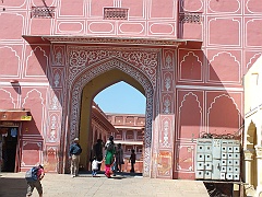 Jaipur (50)